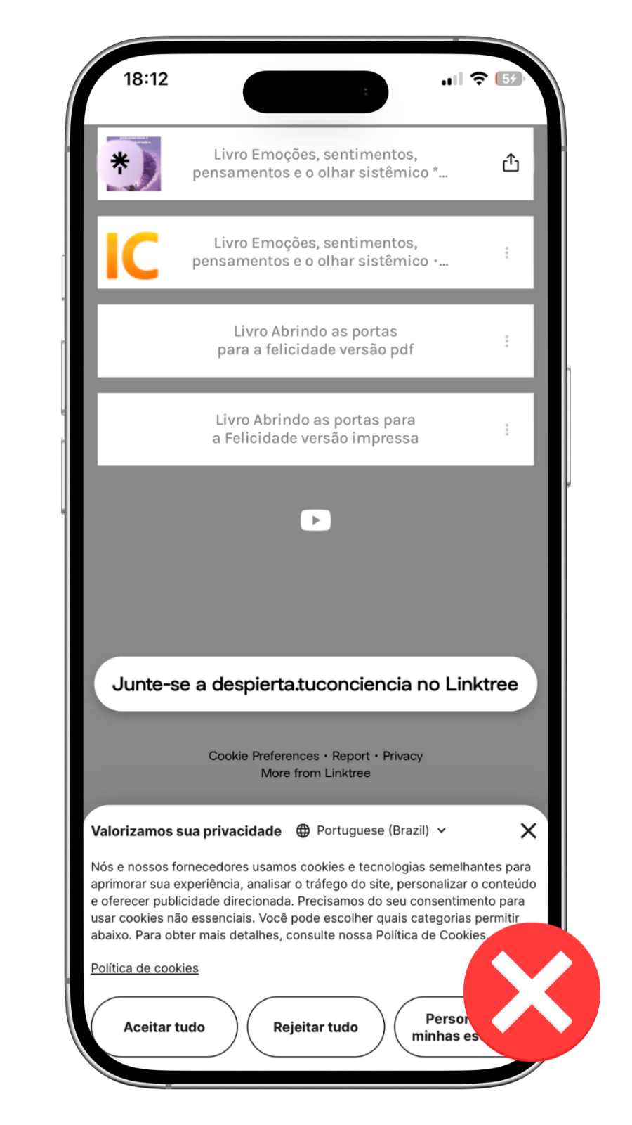 Antes — bio desorganizada
